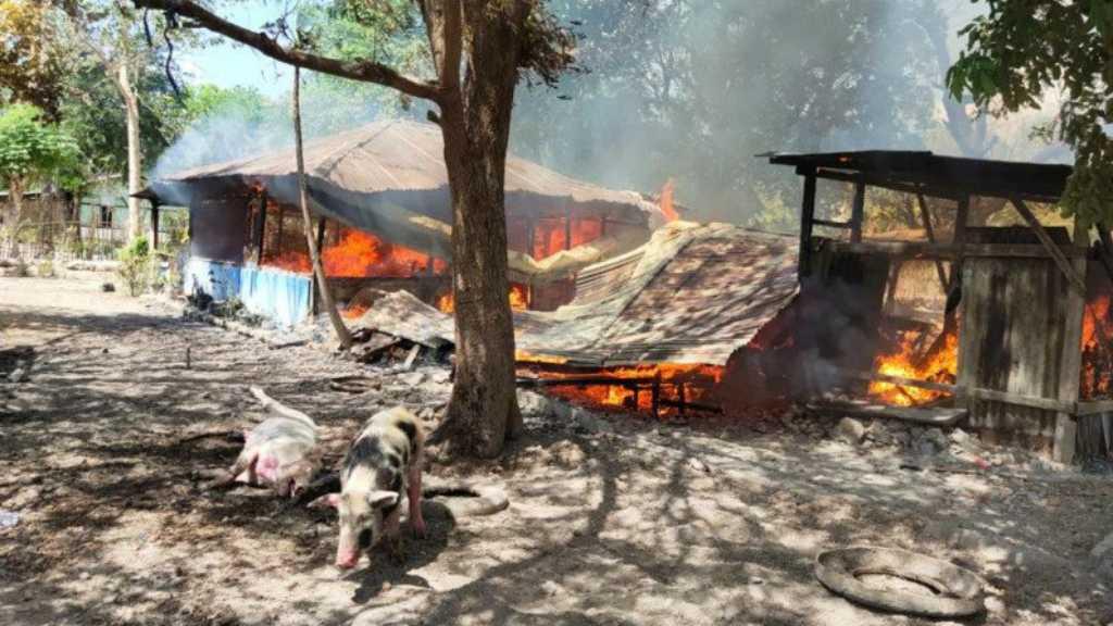 Bentrokan Berdarah Pecah di Kupang, 1 Orang Tewas dan 7 Rumah Dibakar