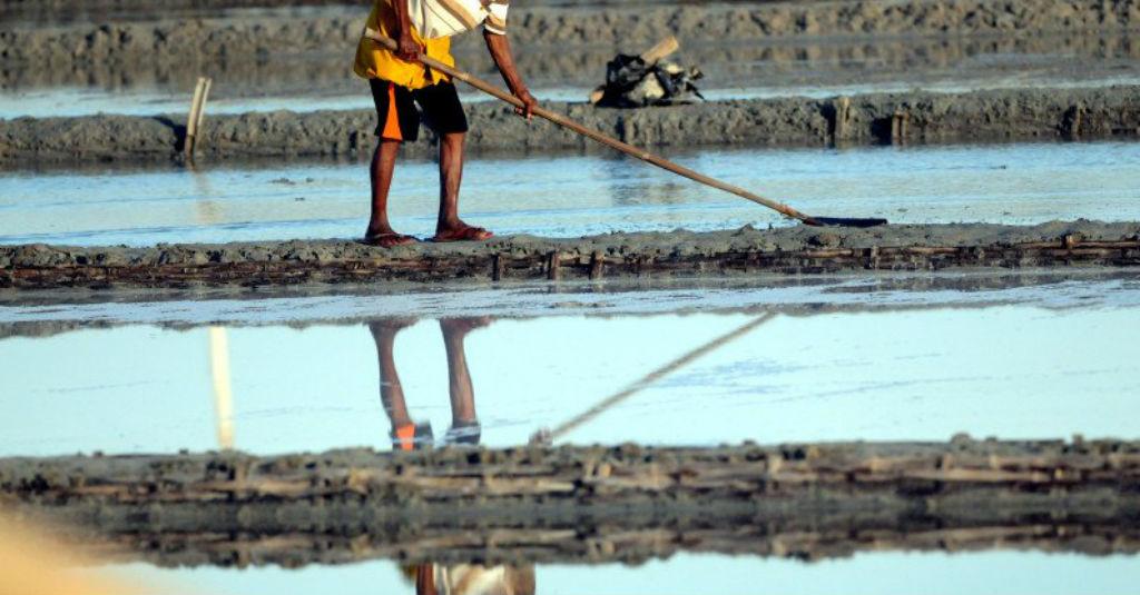 Presiden Jokowi Soal Masalah Garam Rakyat: Tidak Pernah Ada Jalan Keluar