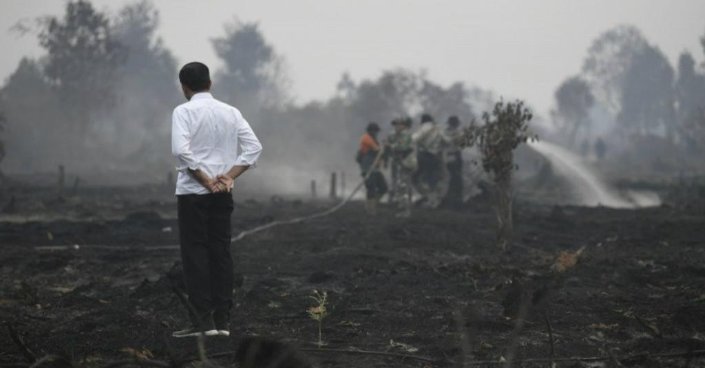 Investor Global Peringatkan Indonesia UU Ciptaker Ancam Hutan Tropis