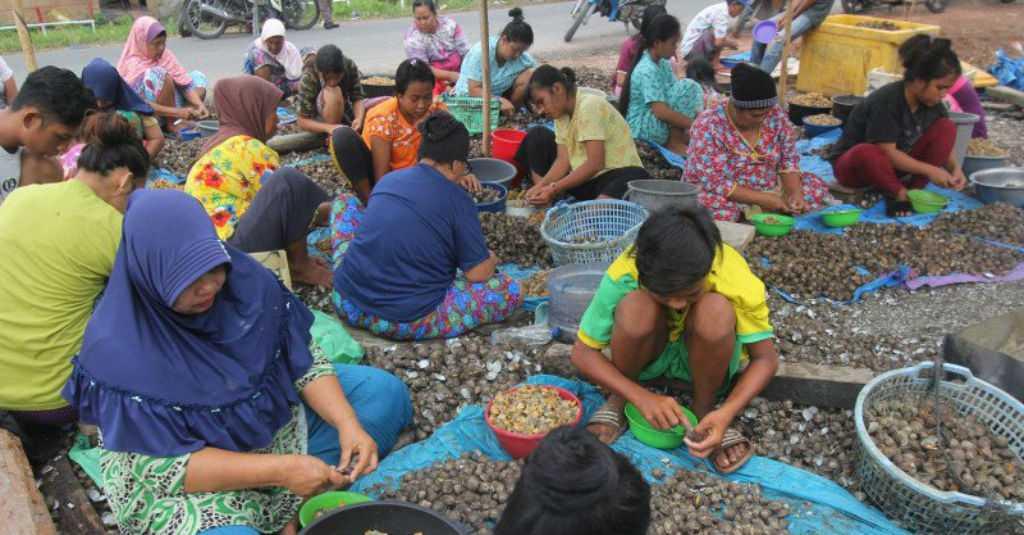 KKP Dorong Pemanfaatan Kerang sebagai Komoditas Berdaya Saing