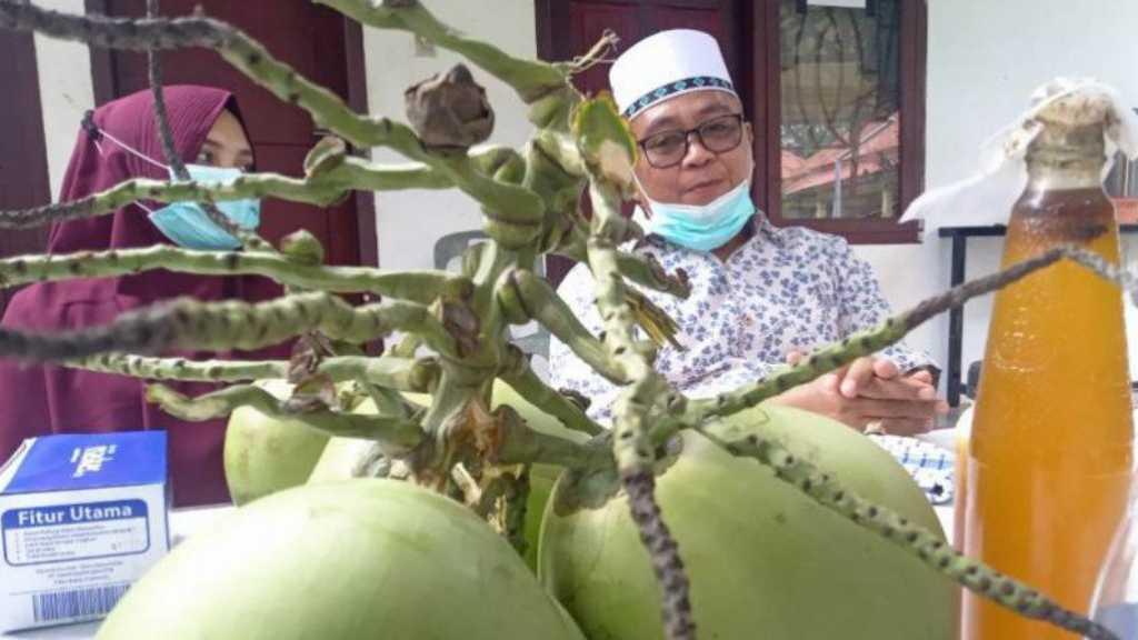 Patut Dicoba! Cara Bupati Aceh Barat Sembuh COVID-19 dengan Cara Alami