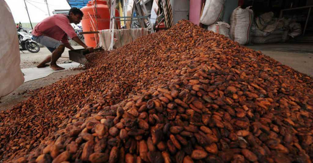 Industri Pengolahan Kakao Sumbang Ekspor 549 Juta Dolar AS