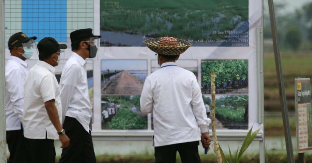 Presiden Jokowi Tinjau Percontohan Kawasan Food Estate Kalteng