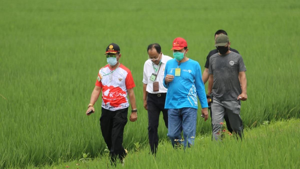 Mentan Syahrul Yasin Limpo Dorong Urban Farming di Jakarta