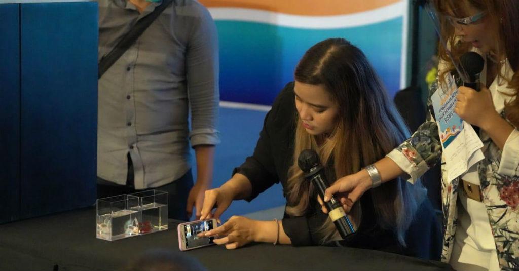 UMKM Ikan Hias Diajak KKP untuk Manfaatkan Medsos agar Pemasaran Maksimal