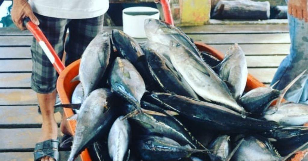 Hari Pangan Sedunia, Menteri Edhy: Sektor Laut dan Perikanan Jadi Solusi