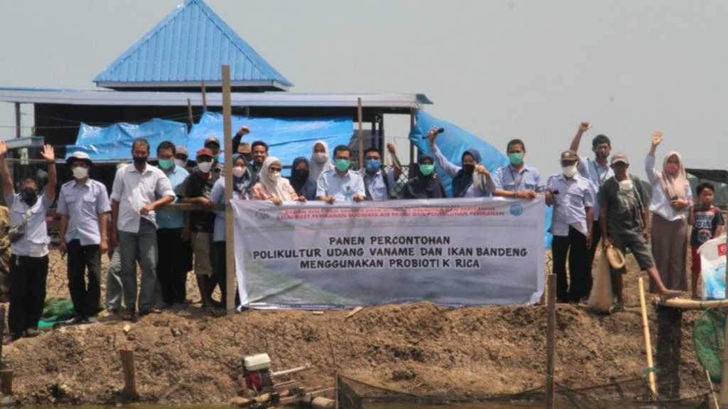 KKP Minta Para Pembudidaya Ikan Gunakan Produk Hasil Riset