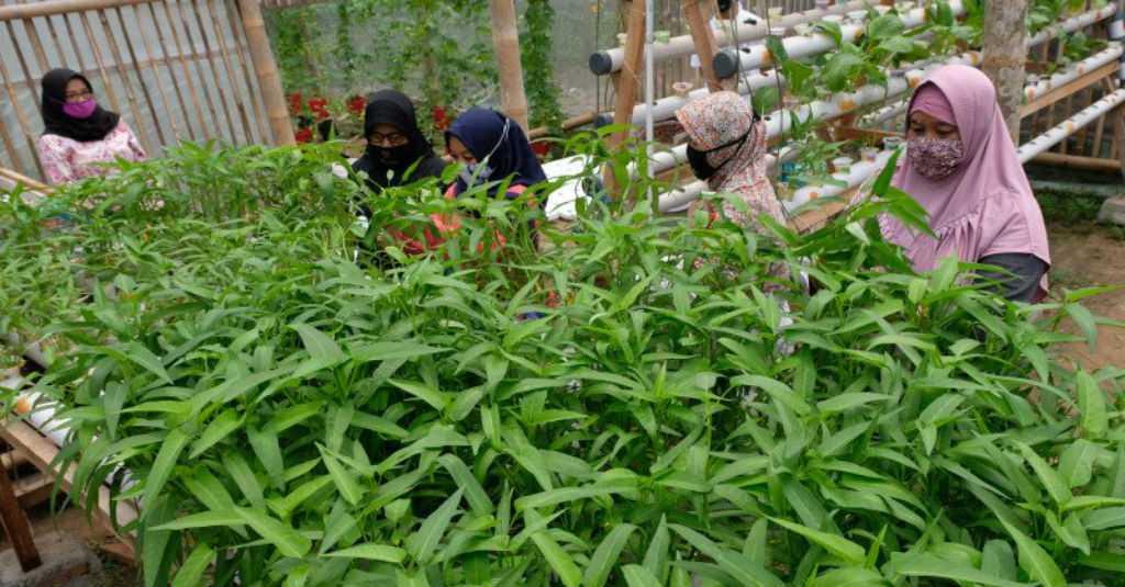 Indonesia Boros Pangan, Daya Saing Bangsa Anjlok