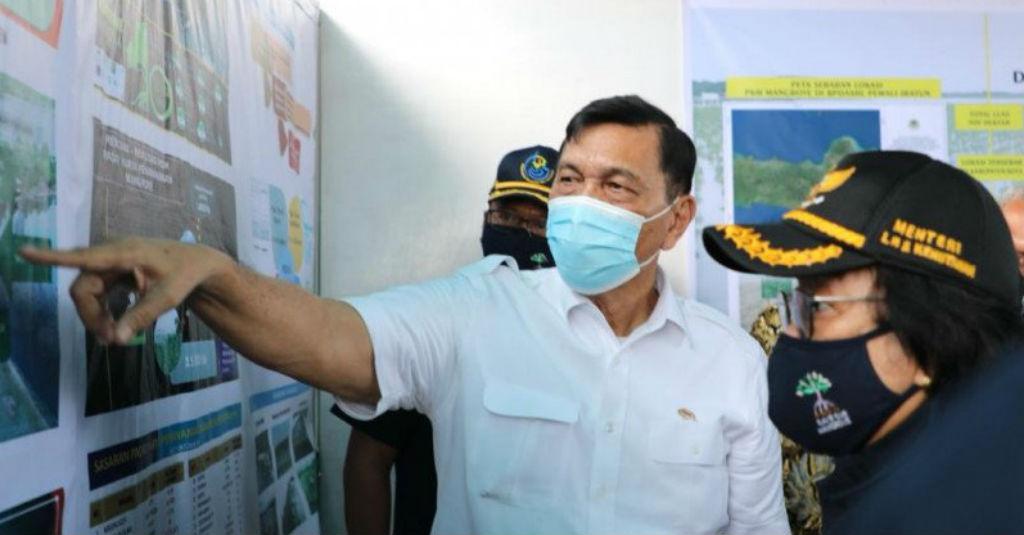 Bantu Program Tanam Mangrove, Luhut Lobi Eropa dan UEA