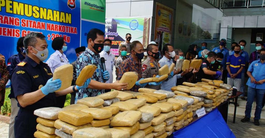 Bea Cukai di Banten dan Aceh Musnahkan Ratusan Kilo Ganja