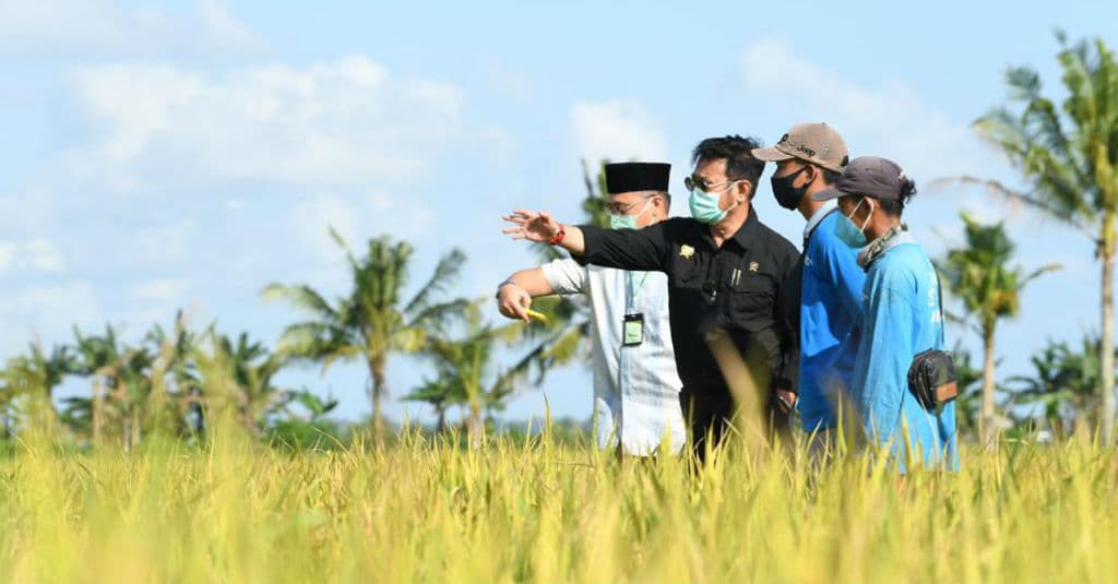 Stok Beras Melimpah, Mentan: Terima Kasih Atas Kerja Keras Para Petani