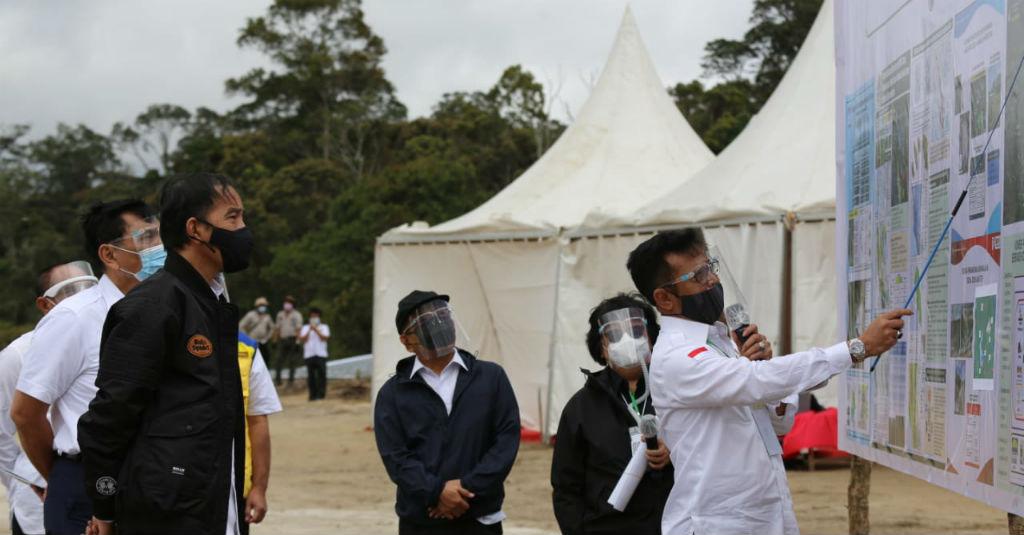 Presiden Jokowi Ajak Pemuda Tekuni Pertanian, Mentan Dorong Modernisasi