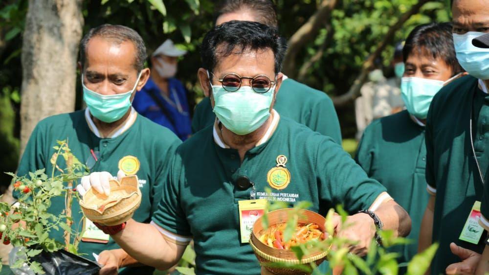 Hari Pangan Sedunia 2020, Petani Muda dan Kementan Serukan Gerakan Berkebun