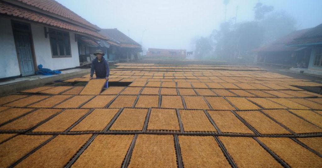 Pemerintah Diminta Buka Dialog Komprehensif Soal Kenaikan Cukai Tembakau