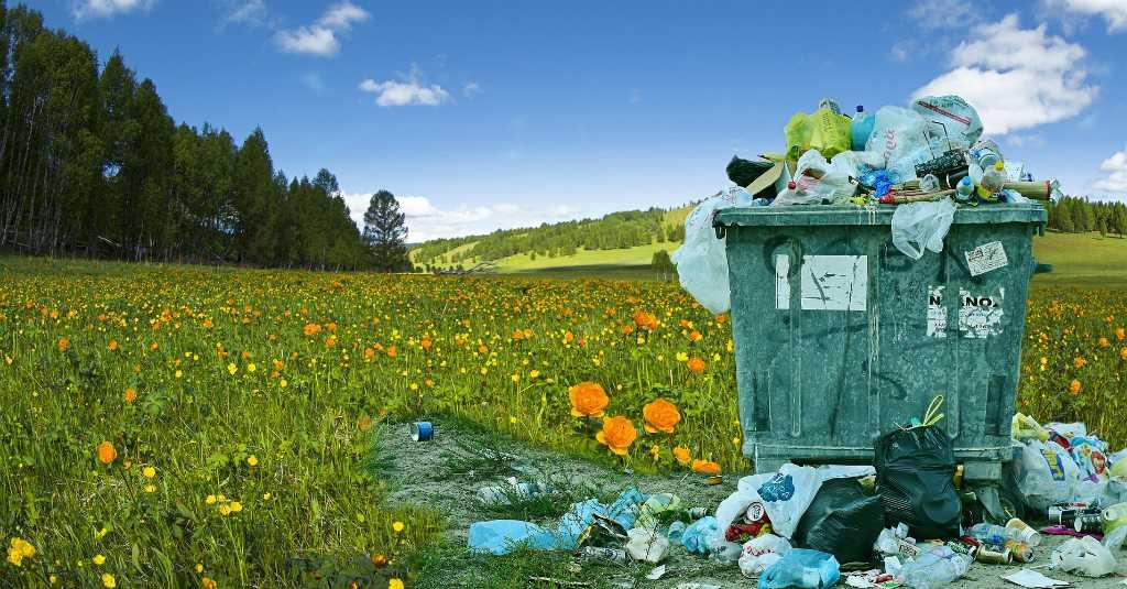 Jaga Bumi, Begini Cara Kelola Sampah yang Baik