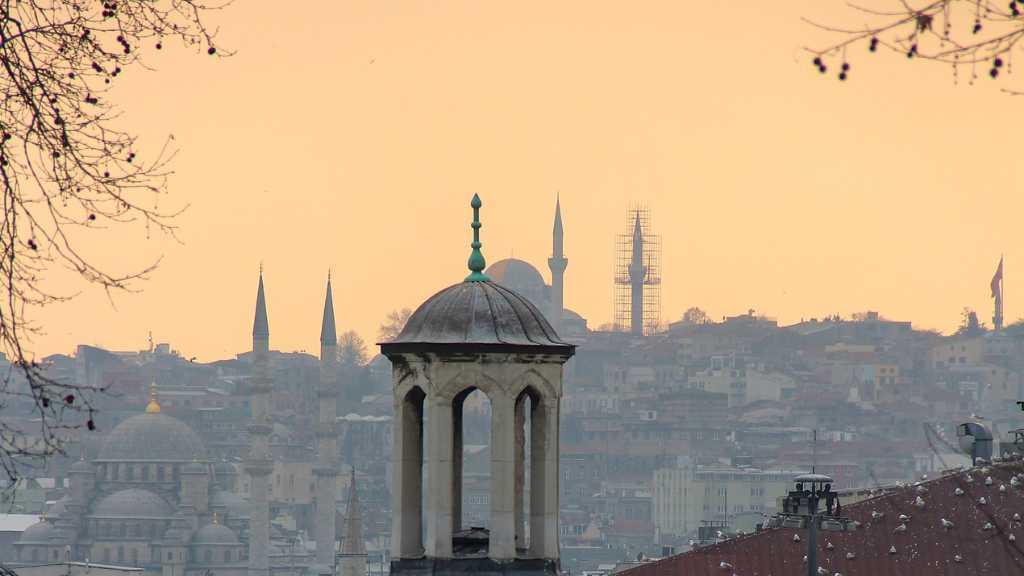 Teror Kepala Babi Hantui Masjid Agung di Perancis