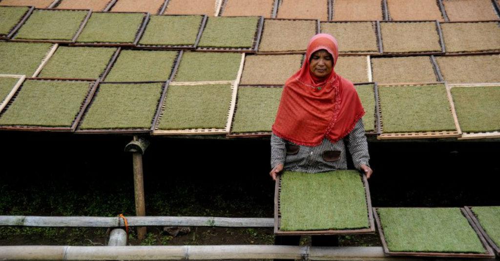 Organisasi Buruh Harapkan Pemerintah Pertimbangkan soal Kenaikan Cukai