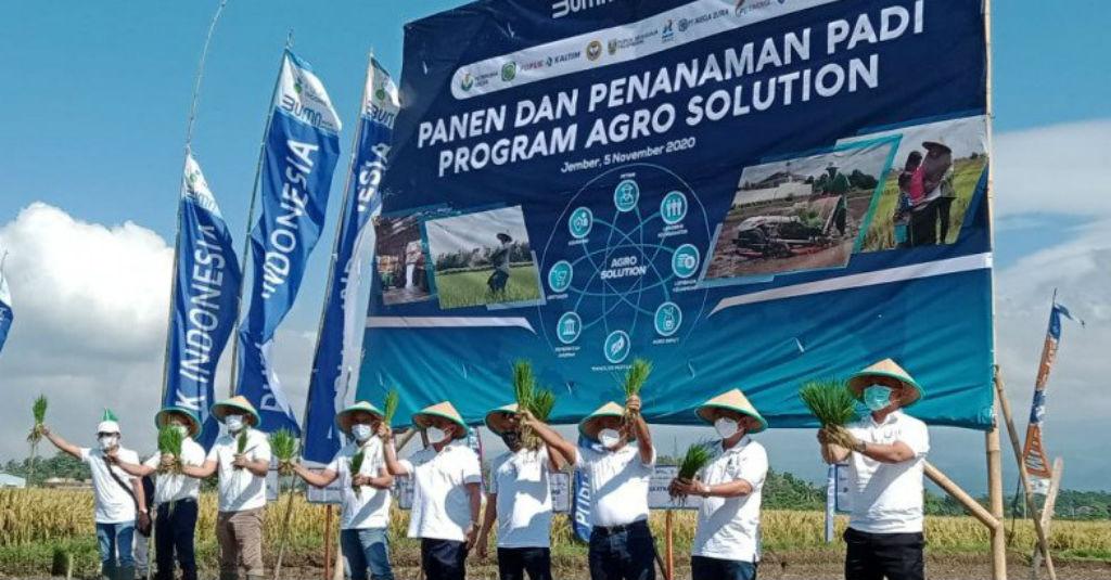 Tingkatkan Hasil Pertanian, Pupuk Kaltim Kembangkan Agro Solution di Jember