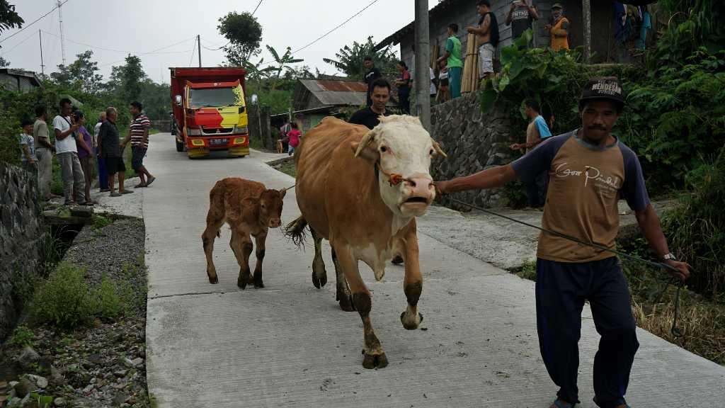 Puluhan Warga di Lereng Gunung Merapi Mulai Dievakuasi