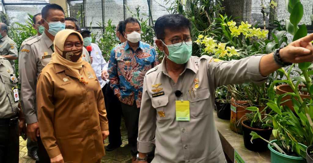 Kementan Pacu Inovasi Tanaman Hias untuk Ekspor