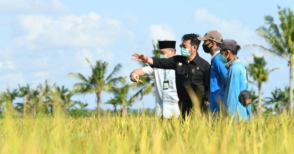 Jangan Khawatir, Stok Beras Sampai Akhir Tahun 2020 Aman dan Terkendali