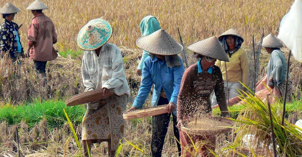 Peneliti: Harga Komoditas Pangan Berpotensi Alami Kenaikan Imbas Pandemi