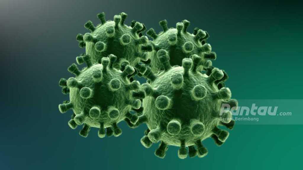Pakar Epideomologi Sebut 2 Agenda Besar Ini Picu Klaster COVID-19