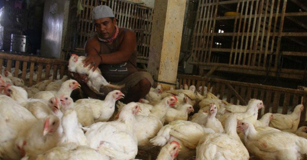 Permendag No 7/2020 Ada yang Melanggar, Pemerintah Kudu Bertindak