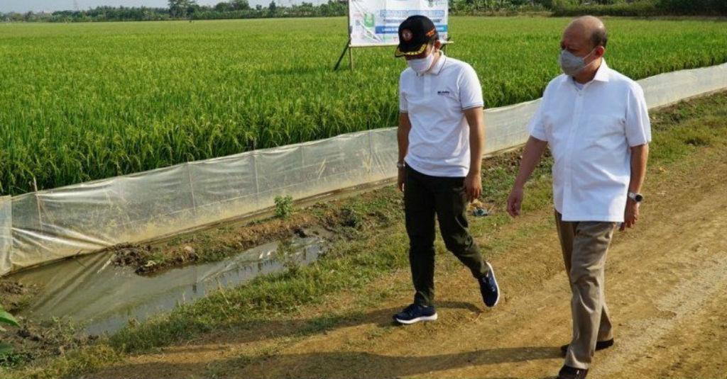 Kembangkan Blok Masela, Pupuk Indonesia Siap Bangun Pabrik Petrokimia