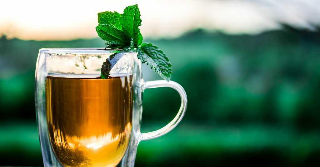 7 Khasiat Teh Peppermint Bikin Hidup Lebih Nyaman