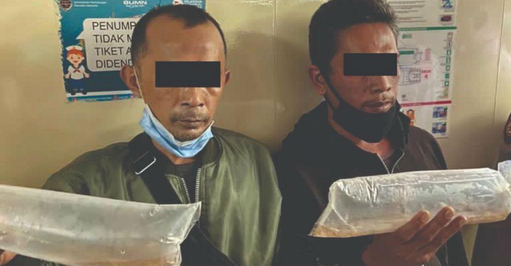 Bea Cukai Gagalkan Ekspor Ilegal 42.500 Benih Lobster