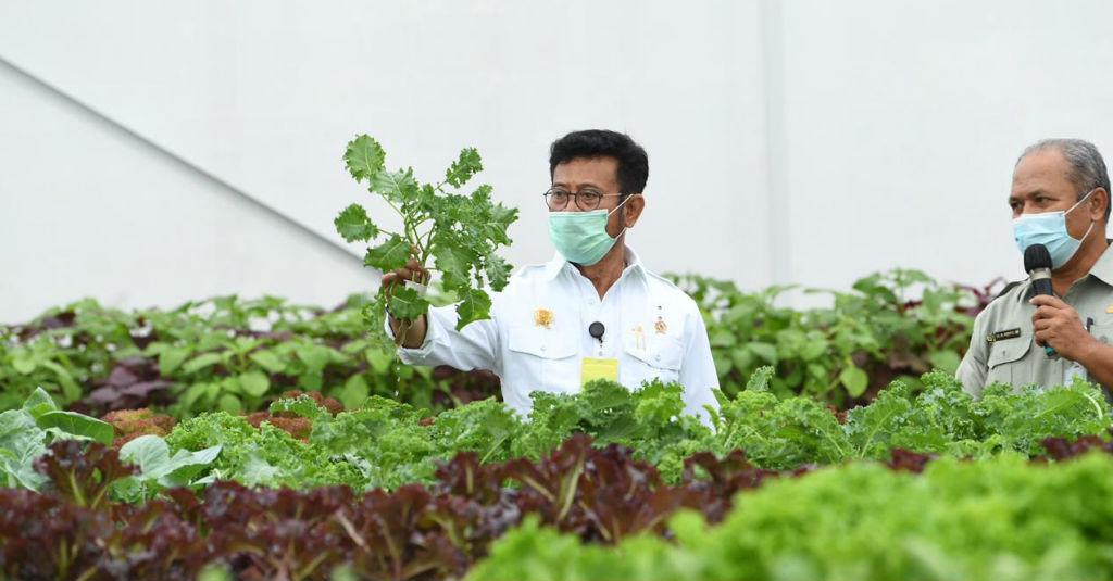 Tingkatkan Kualitas Pendidikan Vokasi Pertanian, Kementan Launching Smart Green House
