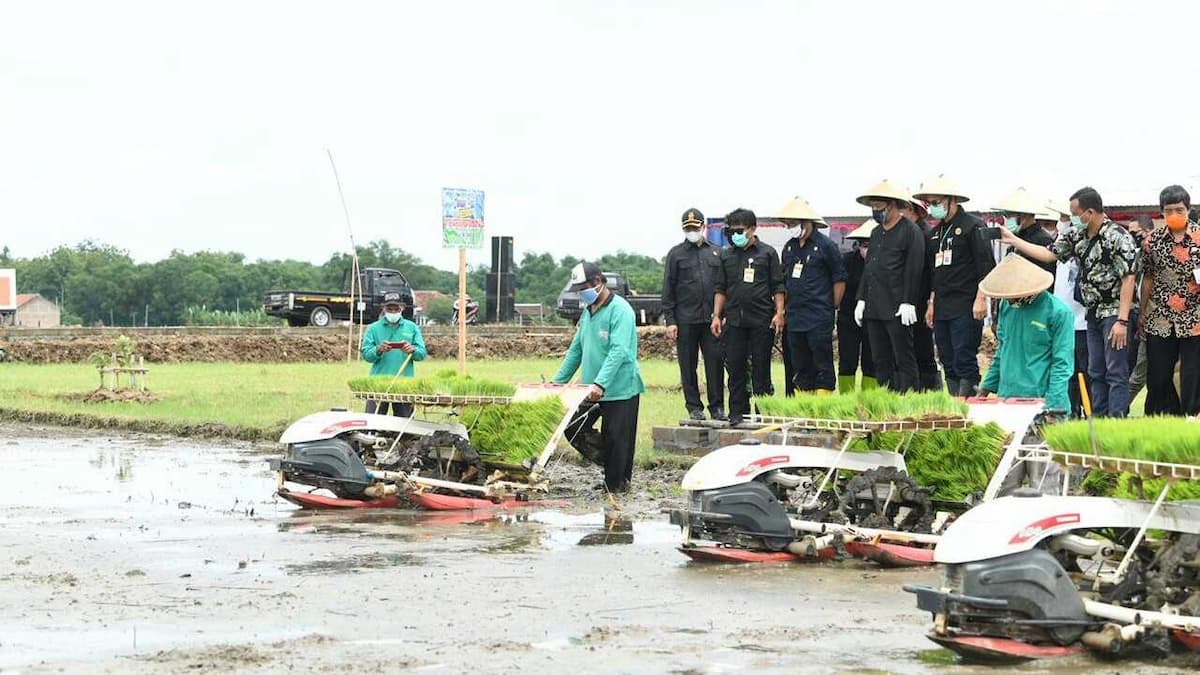 Perkuat Ketahanan Pangan, Mentan Gairahkan Integrated Farming