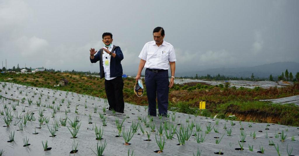 Mentan Dampingi Menko Luhut Pantau Perkembangan Food Estate Humbahas