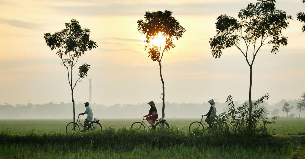 Diversifikasi Minyak Sawit dengan Jagung Tingkatkan Kesejahteraan Petani