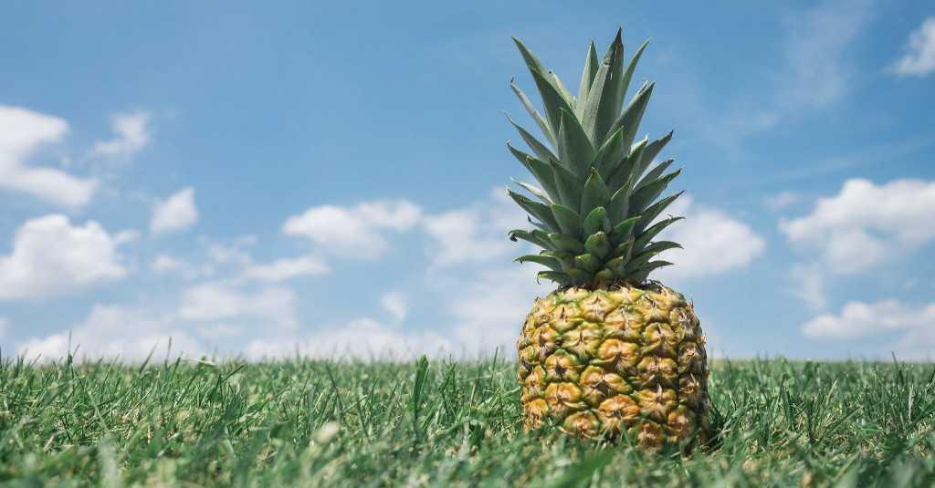 Memiliki Kandungan Vitamin C Tinggi, Buah Nanas Punya Manfaat Luar Biasa