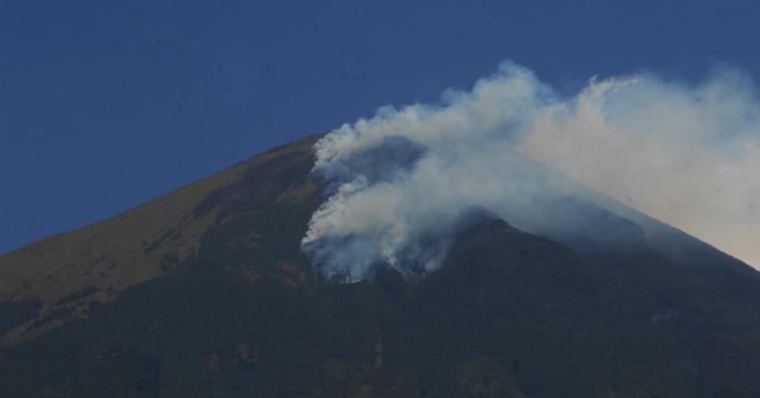 BNPB: Luas Area Gunung Sindoro yang Terbakar 9.5 Hektare