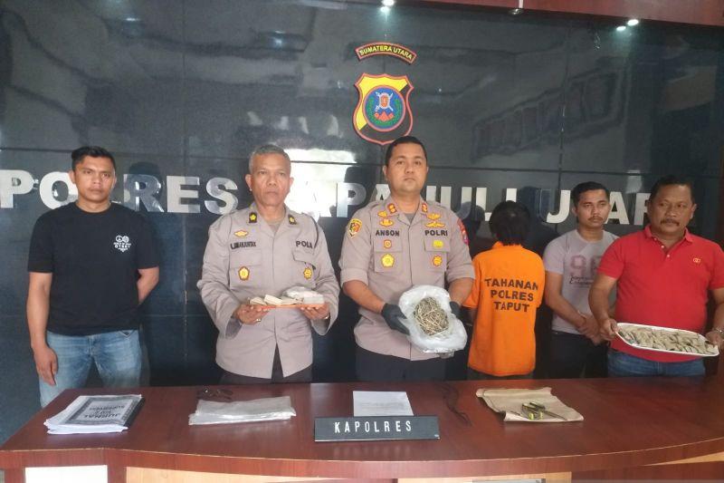 Polisi Ringkus Bandar Narkoba di Tapanuli Utara