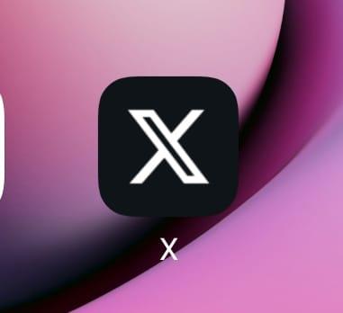 Logo ‘X’ Twitter Dikira Logo Situs Porno, Seorang Ayah Pukuli Anak di India