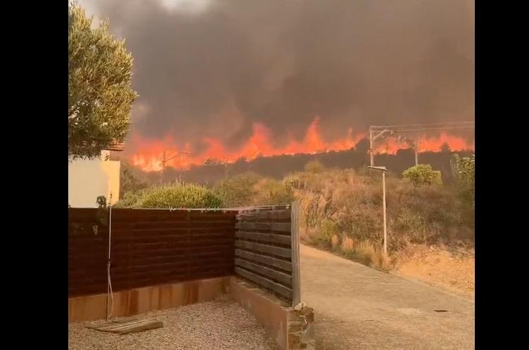 1.400 Warga Dievakuasi saat Kebakaran Hutan di Portugal Meluas