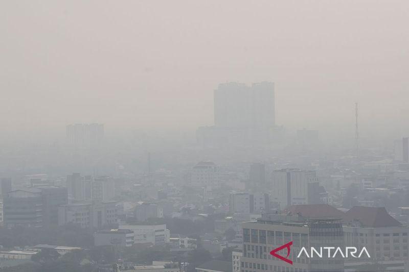 Ngeri! Tak Hanya ISPA, Ini Dampak Lain Polusi Udara yang Buruk pada Tubuh