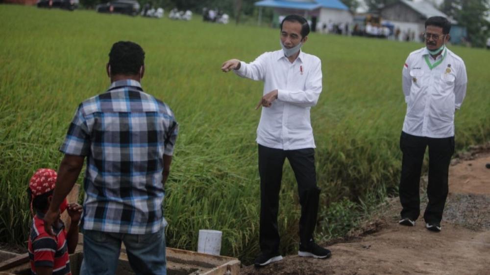 Gak Semudah Itu Bangun Food Estate!