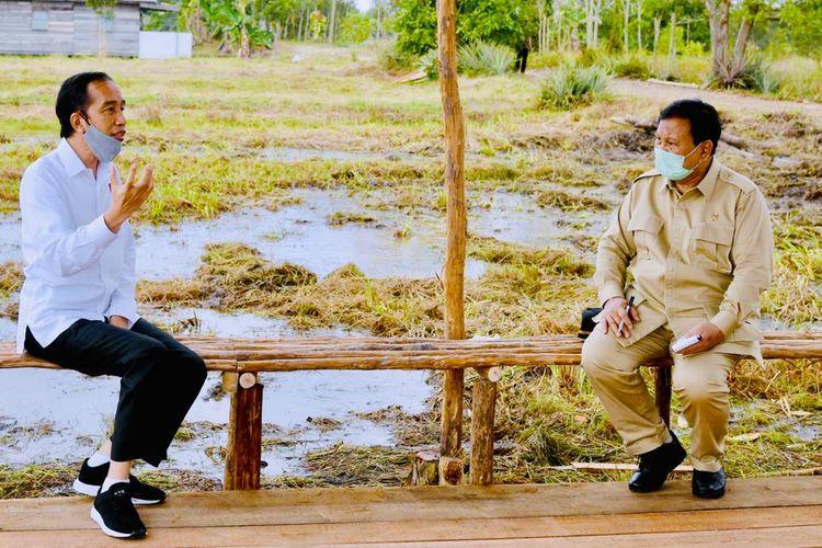 Ini Alasan Presiden Jokowi Tunjuk Prabowo Tangani Proyek Food Estate