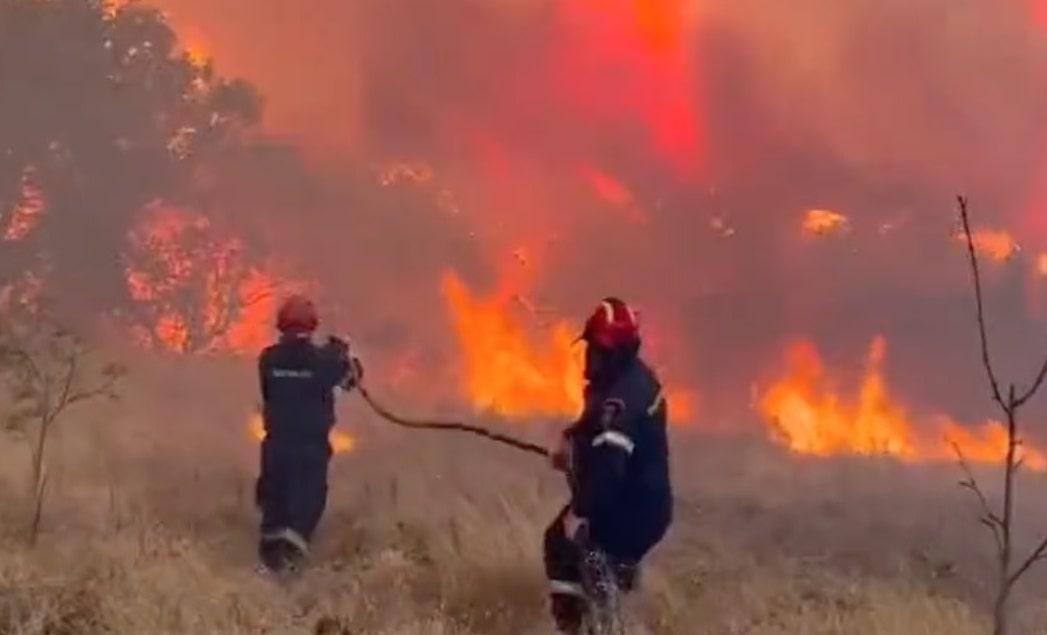 18 Orang Tewas dalam Kebakaran Hutan di Yunani