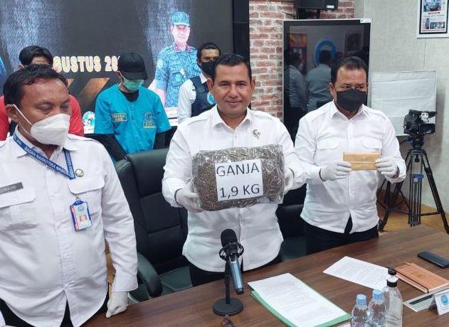 BNNP Maluku Utara Tangkap Pria Pengedar 1,9 kg Ganja Kering Siap Edar