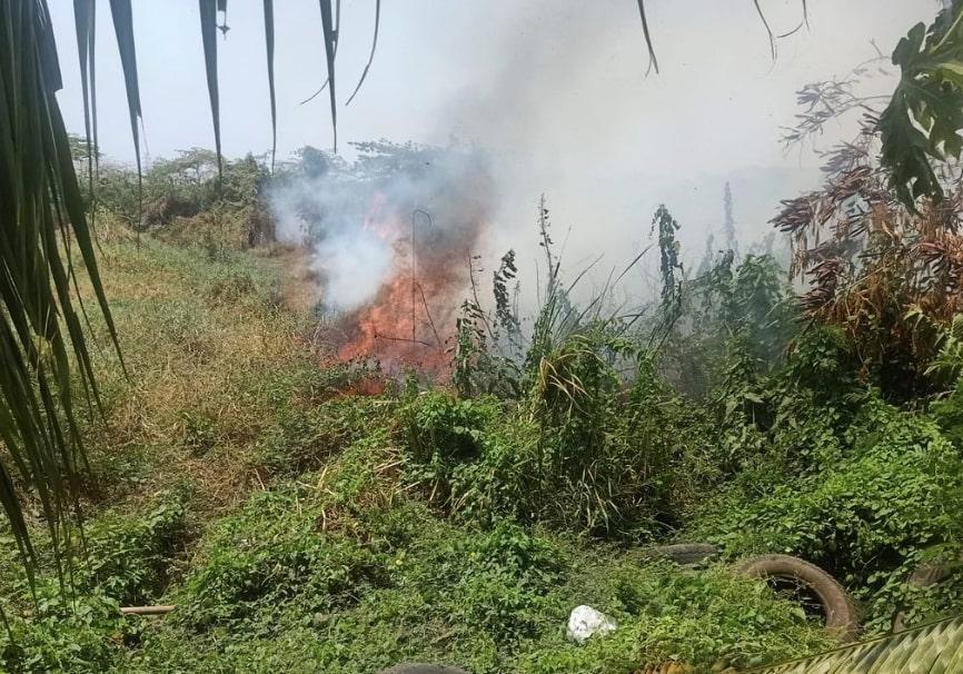 Gegara Puntung Rokok, Alang-Alang di Pademangan Timur Terbakar