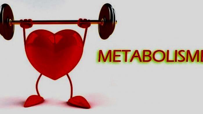 Pola Makan Ini Bisa Memperlambat Metabolisme Tubuh, Lho!