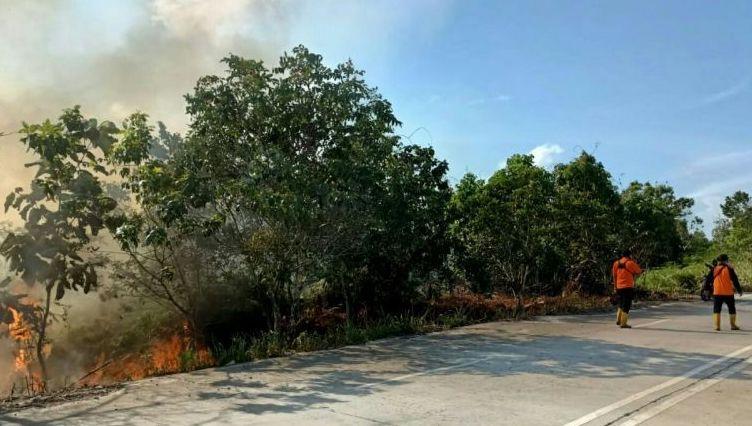 BMKG Deteksi 566 Titik Panas pada 6 Kabupaten di Kaltim