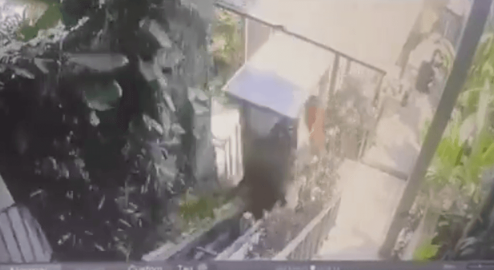 Polisi Periksa 11 Saksi terkait Tragedi Lift Jatuh Tewaskan 5 Karyawan Resort di Ubud