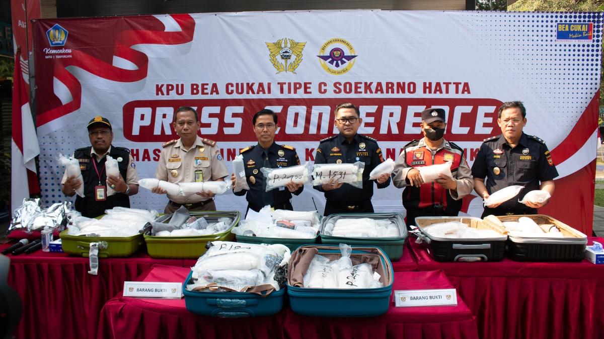 Bea Cukai dan BBKIPM Gagalkan Ekspor Benih Lobster Rp26,5 Miliar